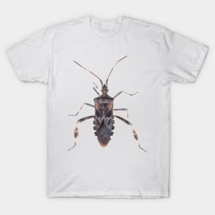 Western conifer seed bug T-Shirt